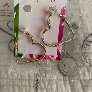 NWT Heart Shapped Earrings